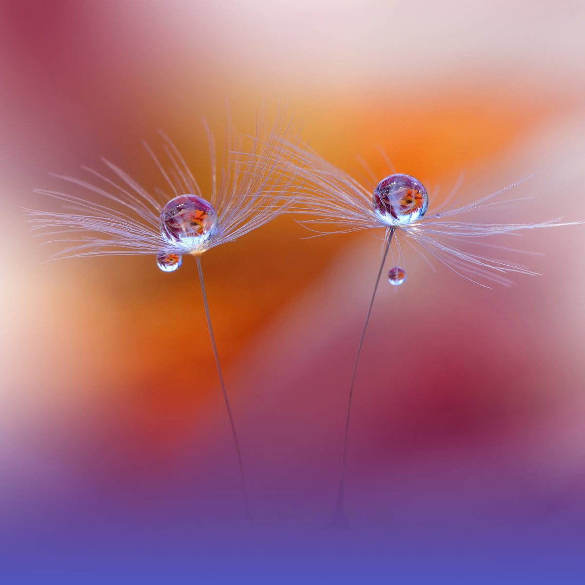 4-piece-aluminium-print-two-worlds