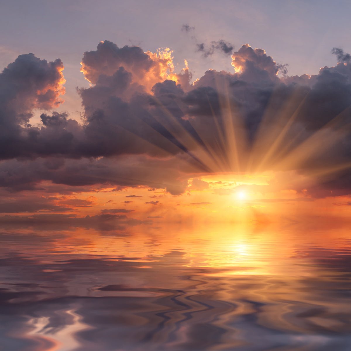 aluminium-print-thrilling-sunset