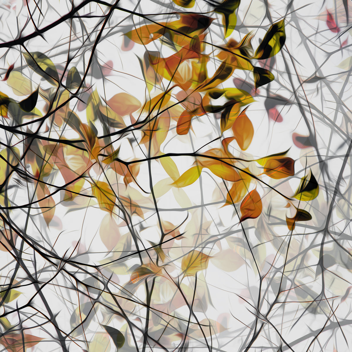 4-piece-acrylic-print-autumn-song