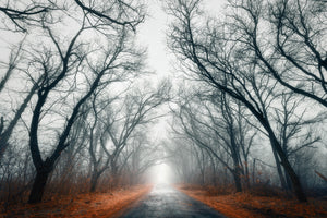 3-piece-acrylic-print-mysterious-mood-in-the-forest