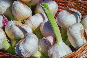 3-piece-acrylic-print-fresh-garlic