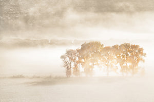 modern-3-piece-canvas-print-autumn-dreams