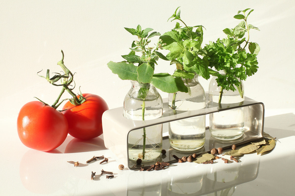 modern-3-piece-canvas-print-tomatoes-and-herbs