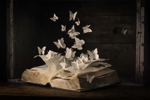 modern-3-piece-canvas-print-lepidopterology