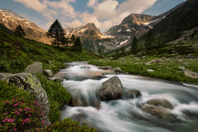 poster-print-maritime-alps-park-x