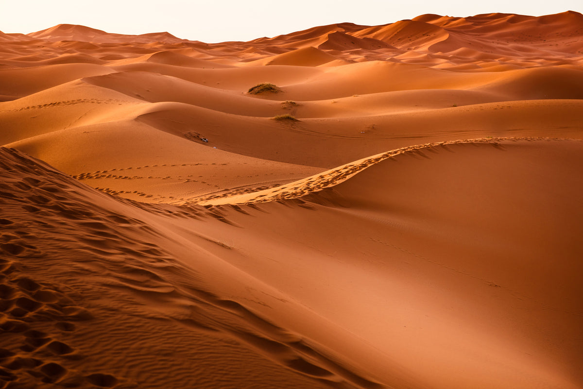 acrylic-print-traces-in-the-desert