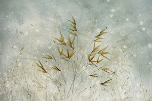 aluminium-print-wintertime-x