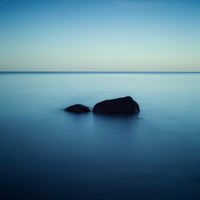 poster-print-zen-xuc