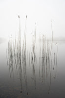 poster-print-silence