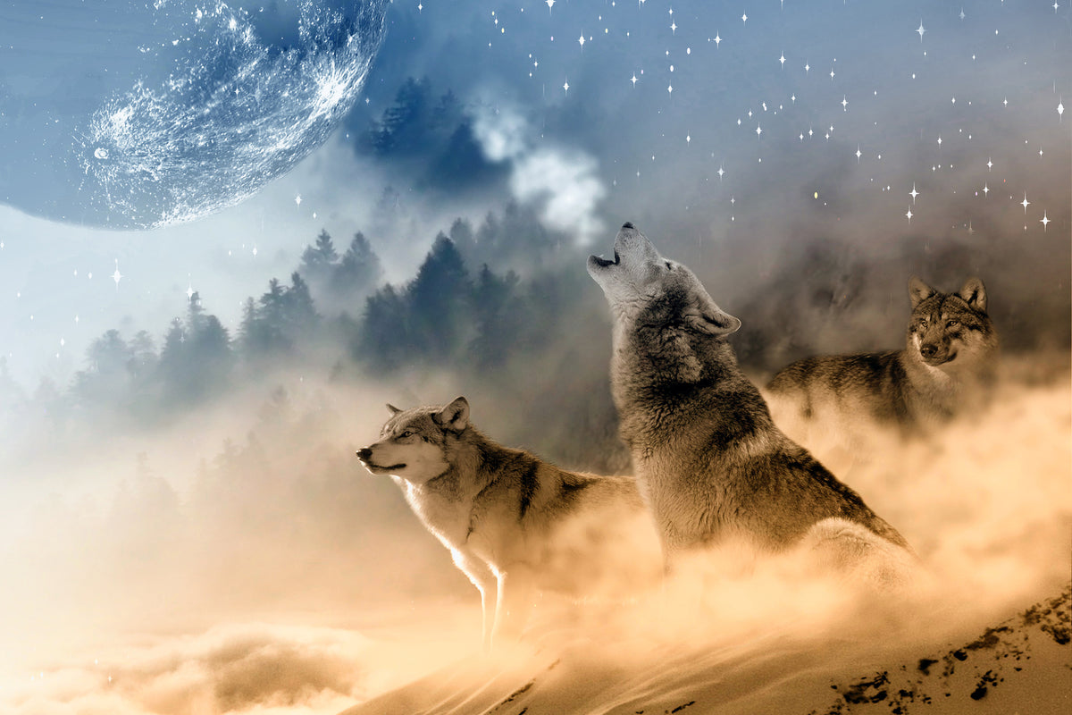 3-piece-aluminium-print-the-world-of-wolves