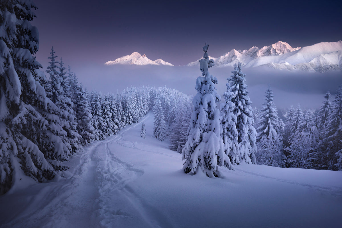 framedcanvas-print-in-the-winter-x