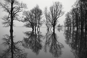 poster-print-flood-x