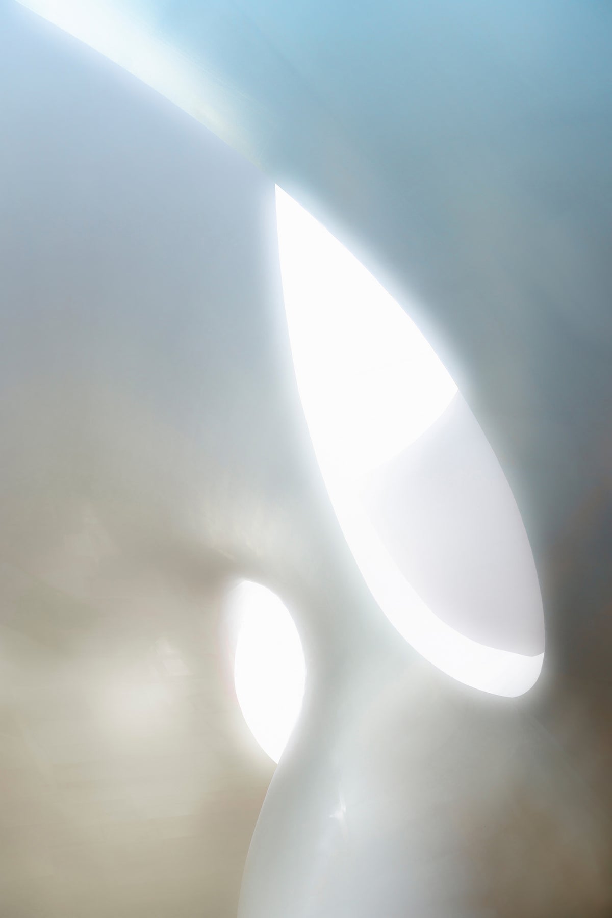 framedcanvas-print-organic-shapes