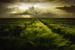 acrylic-print-journey-to-the-fierce-storm