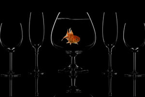 3-piece-acrylic-print-glass-fish