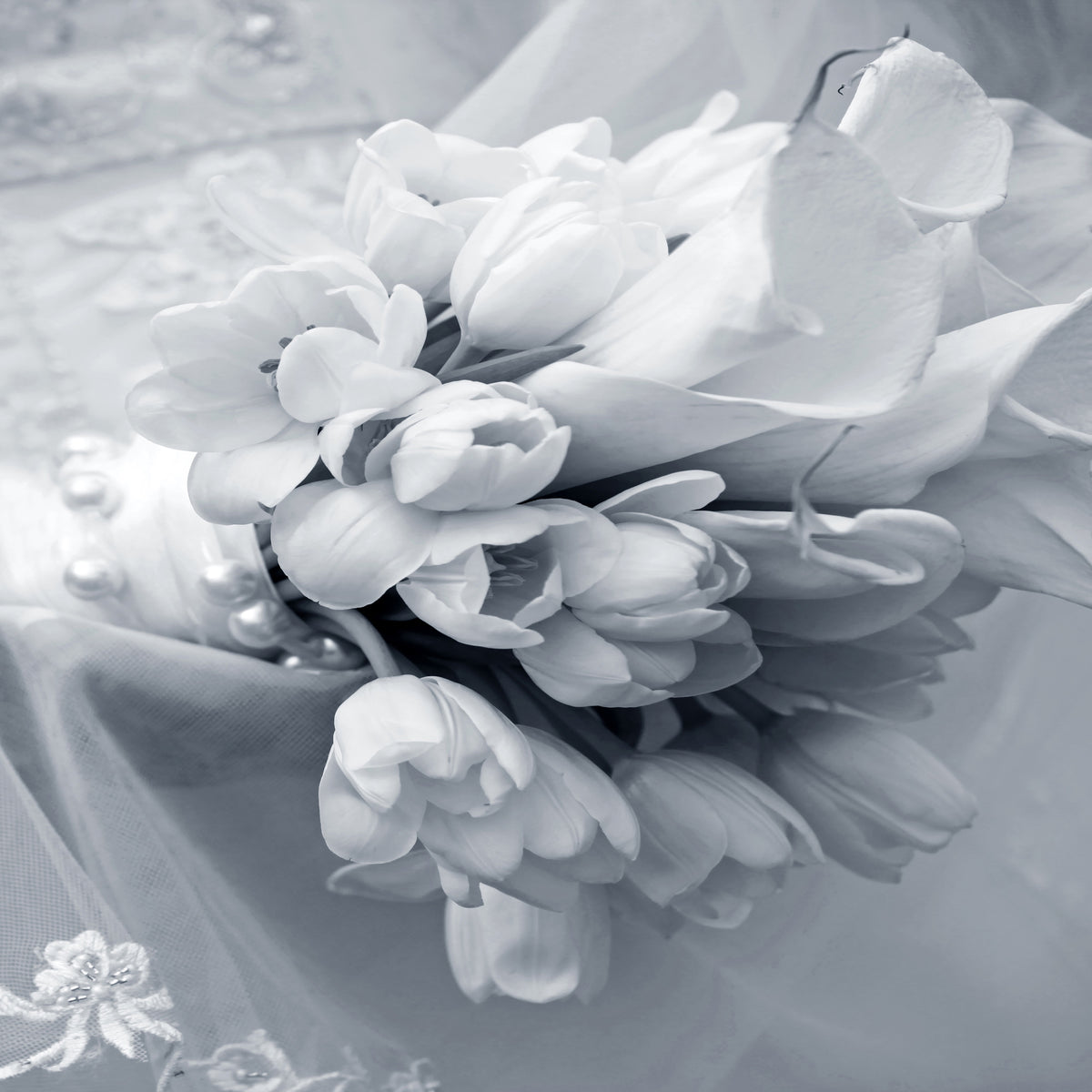 9-piece-aluminium-print-romantic-tulips-bouquet