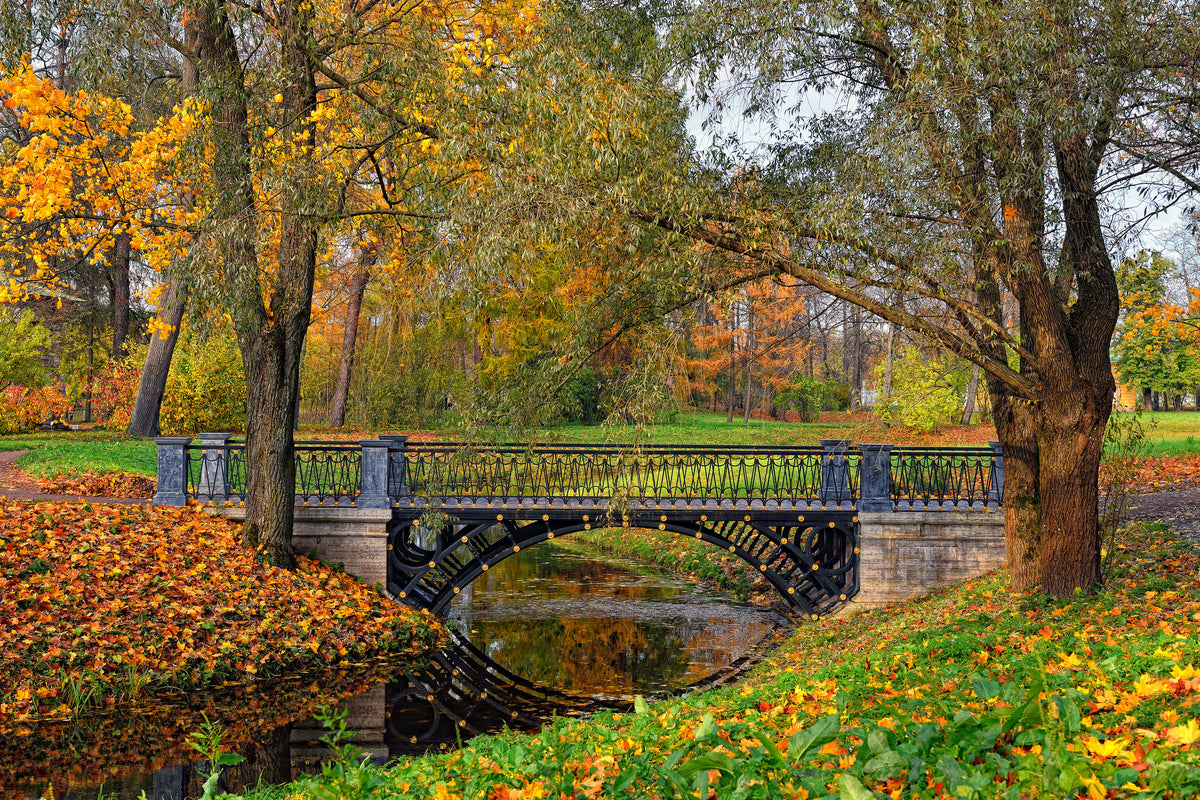 framedposter-print-romantic-park