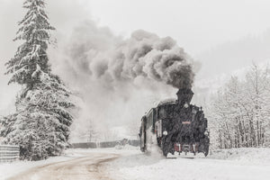 canvas-print-winter-story-x