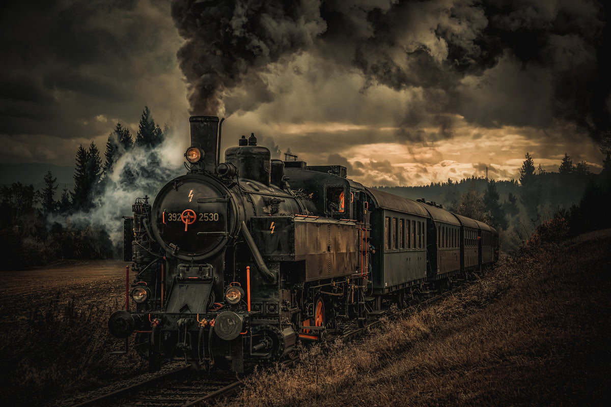 acrylic-print-gold-digger-train-x