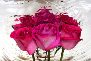 3-piece-acrylic-print-the-rose-reflection