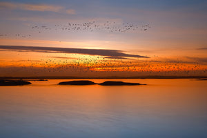 framedposter-print-by-sunset