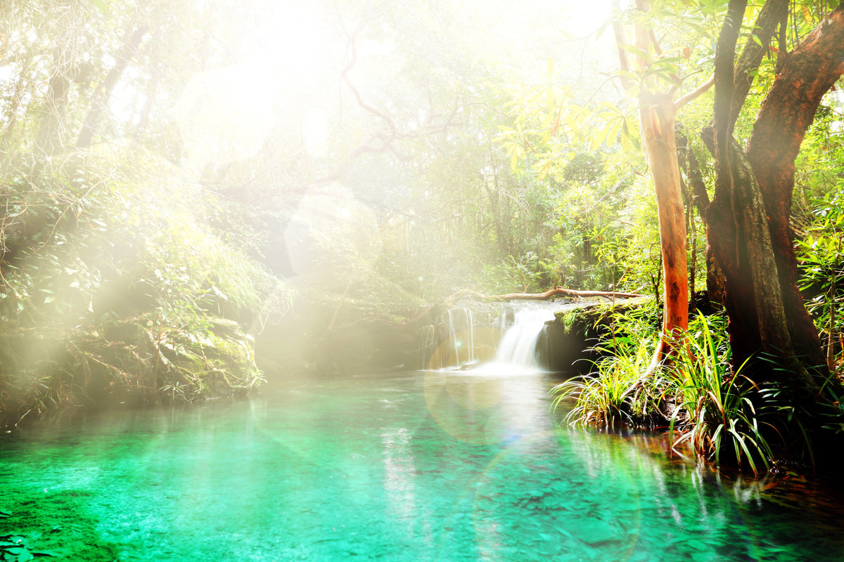 canvas-print-the-green-lagoon