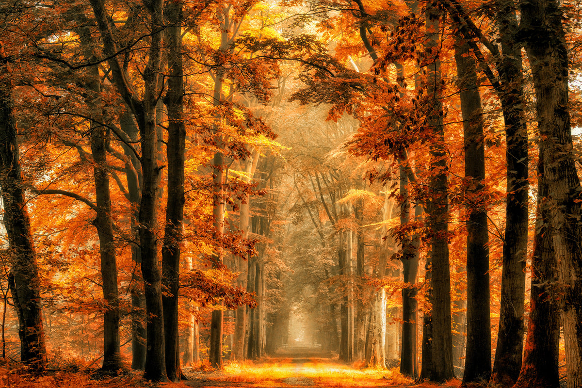 canvas-print-exit-the-portal