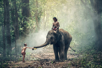 poster-print-the-elephant-at-work