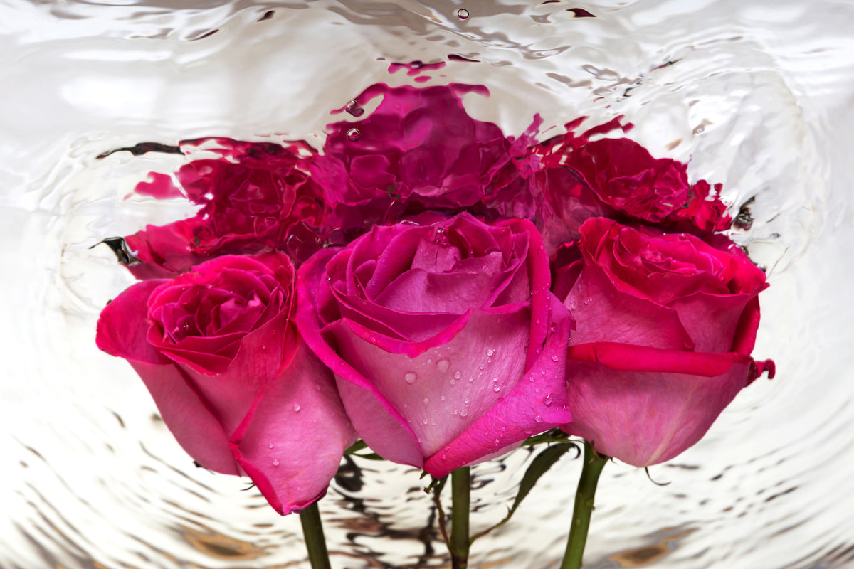 3-piece-canvas-print-the-rose-reflection