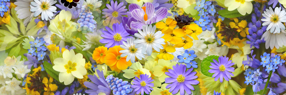 panoramic-3-piece-canvas-print-fresh-spring-flowers-panorama