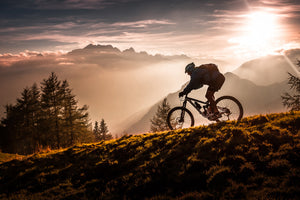poster-print-golden-hour-biking-x