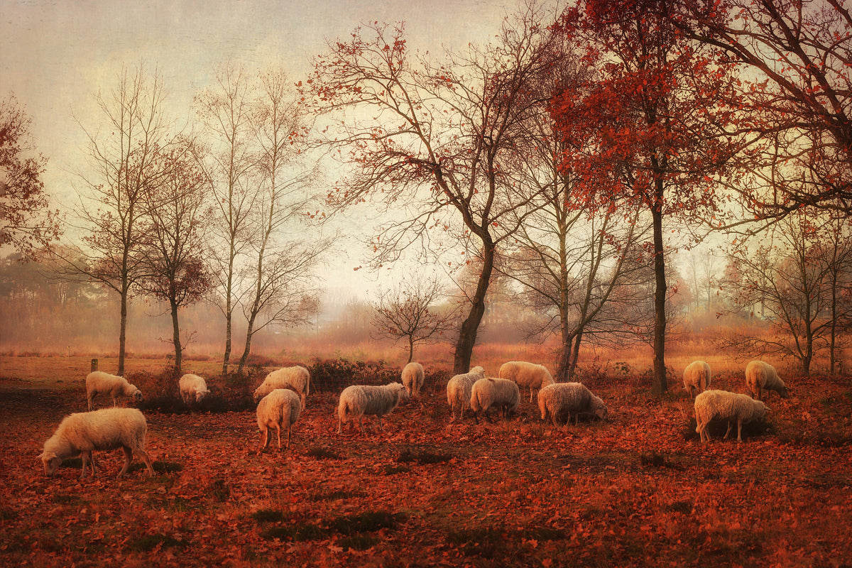 modern-3-piece-canvas-print-last-days-of-autumn