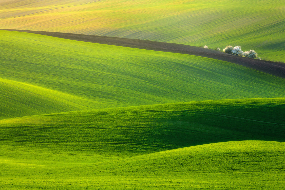 canvas-print-spring-time-x