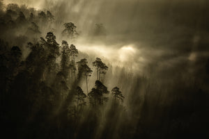 canvas-print-streiflichter