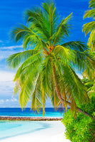 framedposter-print-the-palm