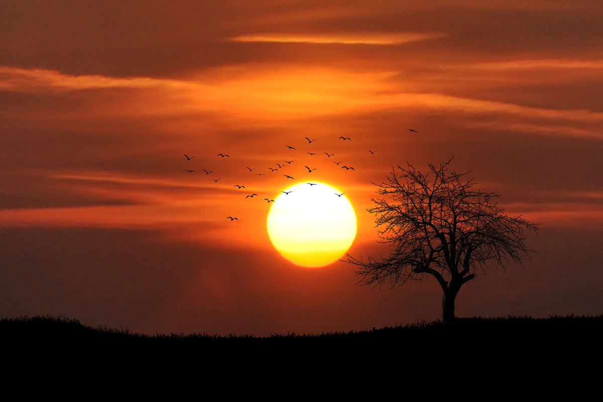 framedposter-print-the-sunset-on-the-horizon