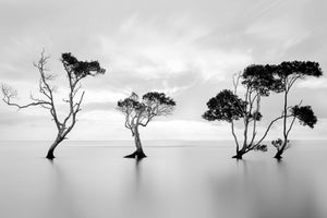 aluminium-print-drowning-not-waving