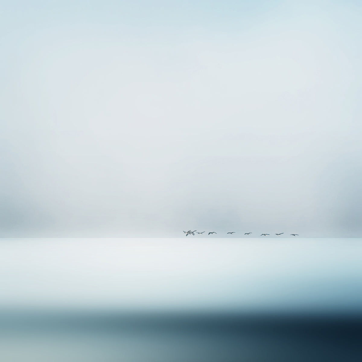 4-piece-canvas-print-wild-geese