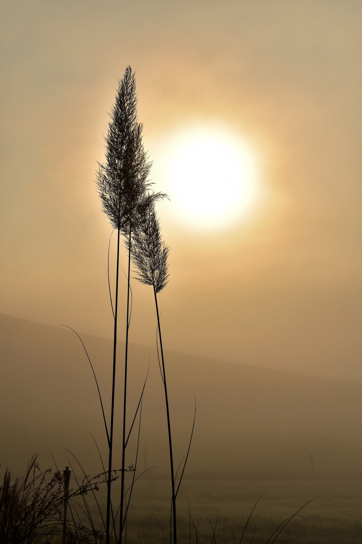 framedposter-print-atmospheric