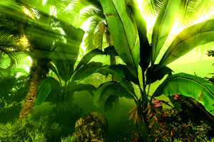 3-piece-acrylic-print-sunrise-in-the-rainforest