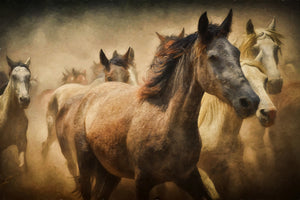 poster-print-painting-wild-horses