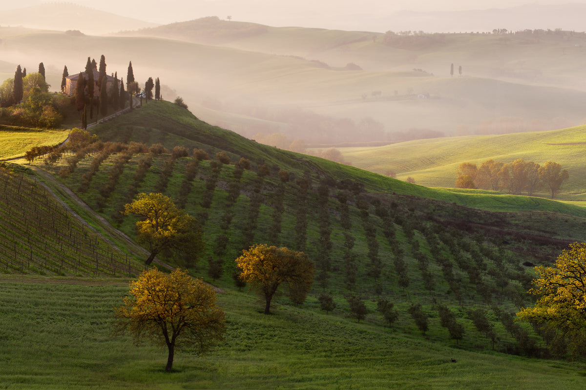 aluminium-print-tutte-le-strade-portano-a-belvedere