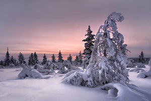poster-print-lappland-winterwonderland-x