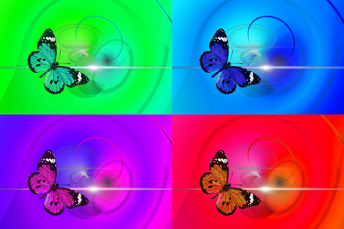 acrylic-print-pop-art-colorful-butterfly