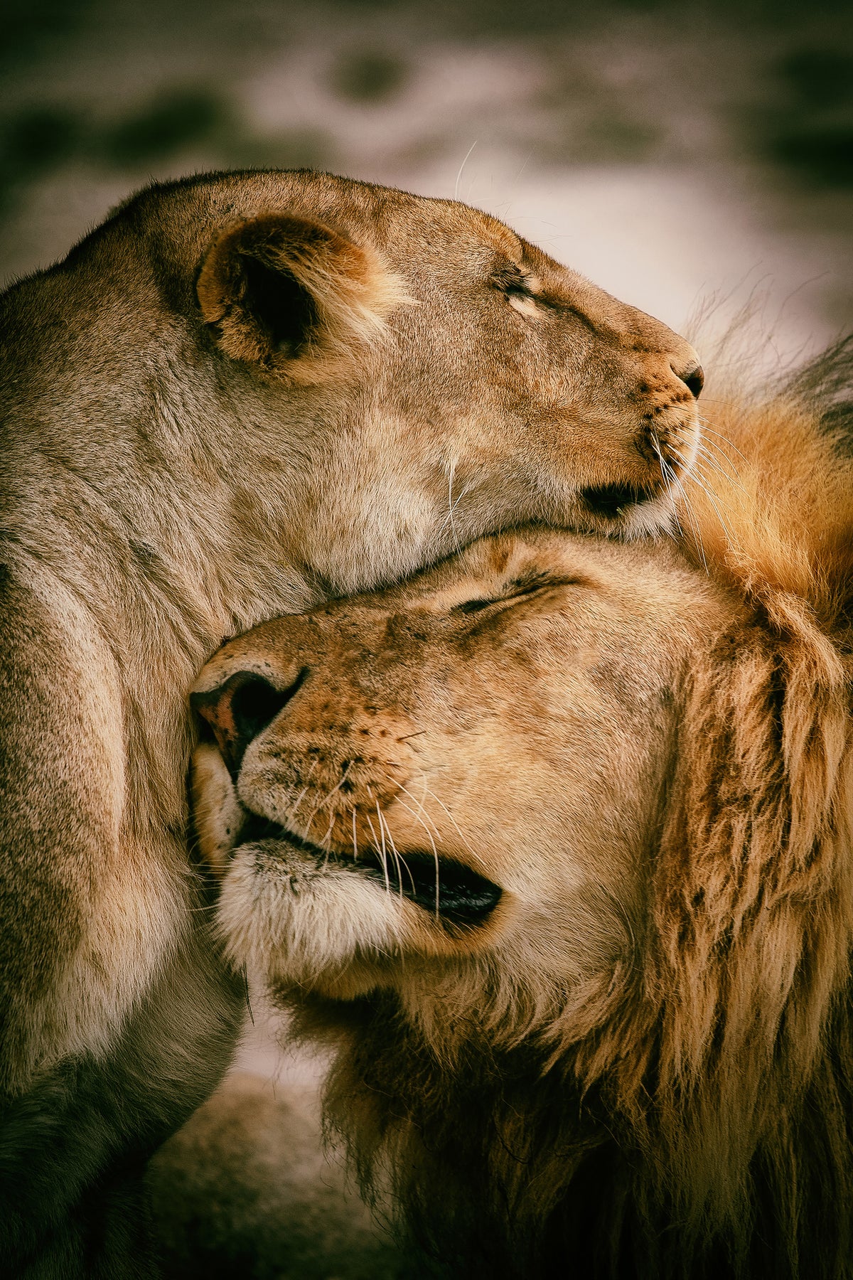 canvas-print-what-is-love-x
