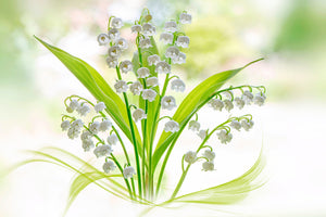 modern-3-piece-acrylic-print-lily-of-the-valley-ii