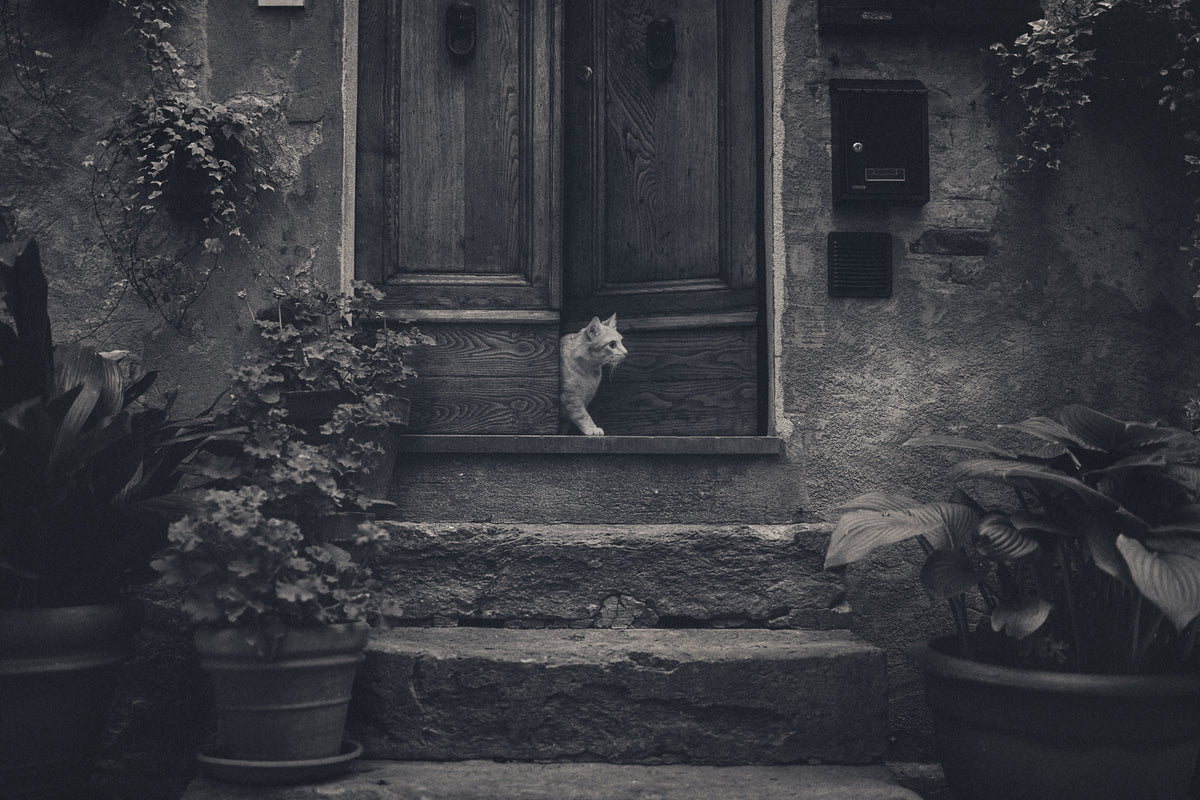 aluminium-print-awaiting-guests-x