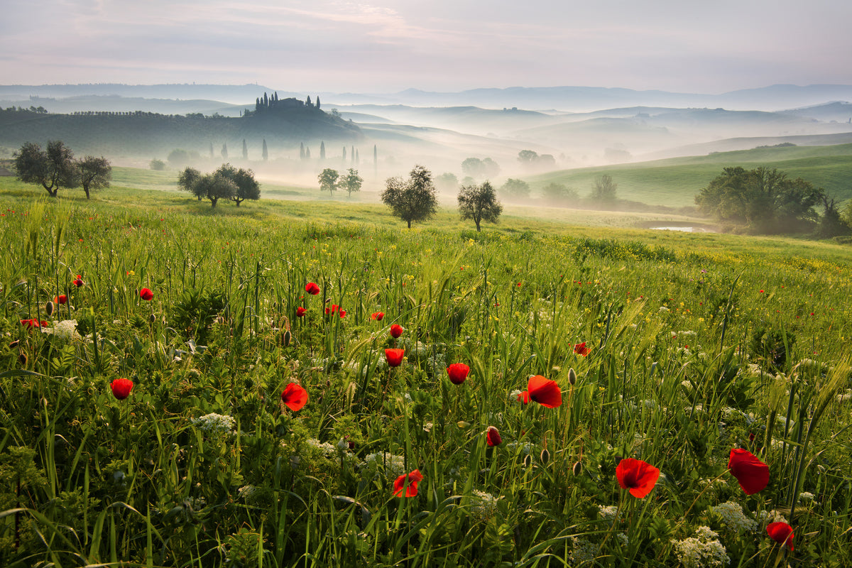 3-piece-aluminium-print-tuscan-spring