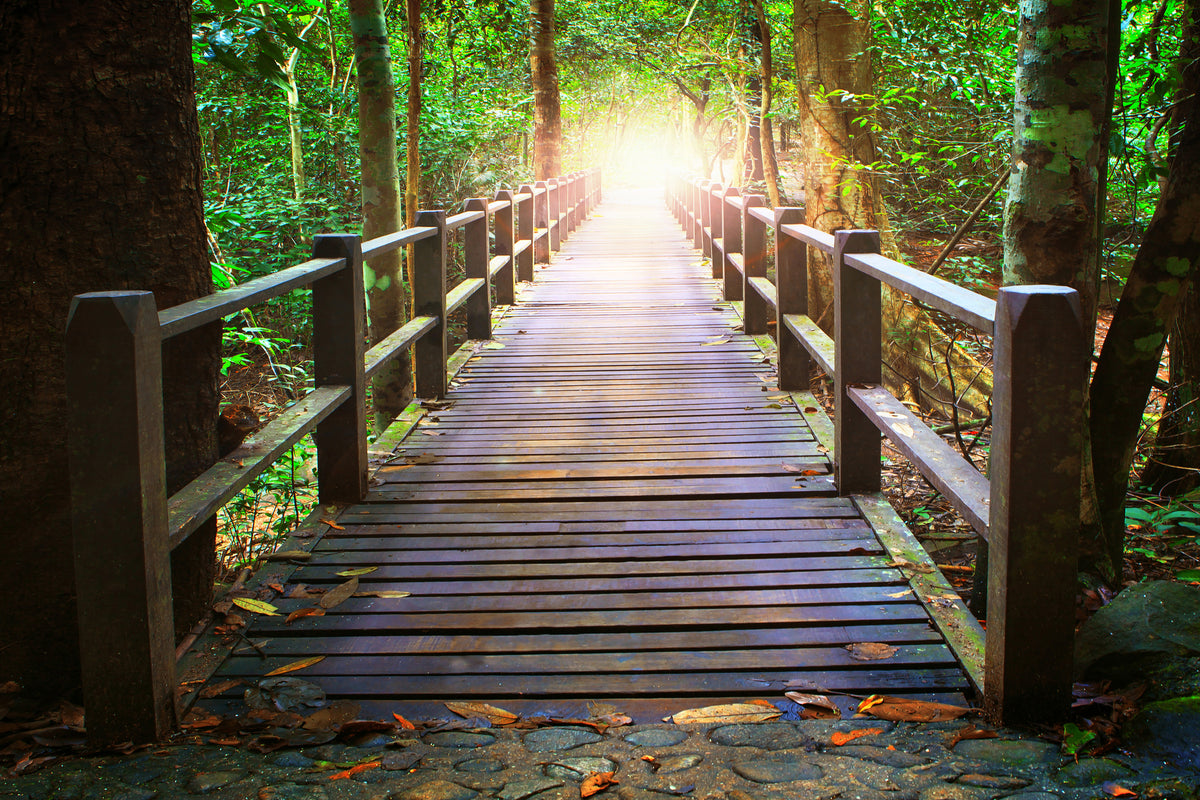 modern-3-piece-acrylic-print-the-bridge-in-the-forest