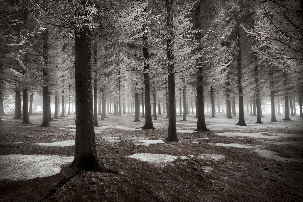 framedcanvas-print-the-onset-of-winter
